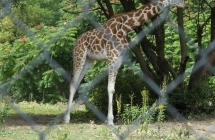 DSCF1282 (1)
