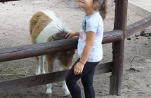 DSCF1322 (1)